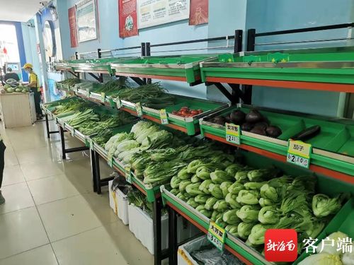 3000噸儲量確保國慶期間海口蔬菜 貨足價(jià)穩(wěn)