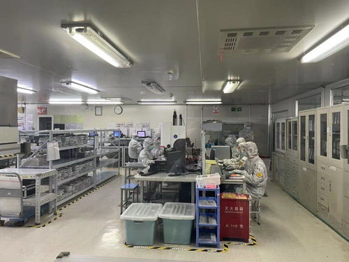 稅收激勵再發力 科技創新稅前扣除加碼，生物化工領域迎來研發投入新契機